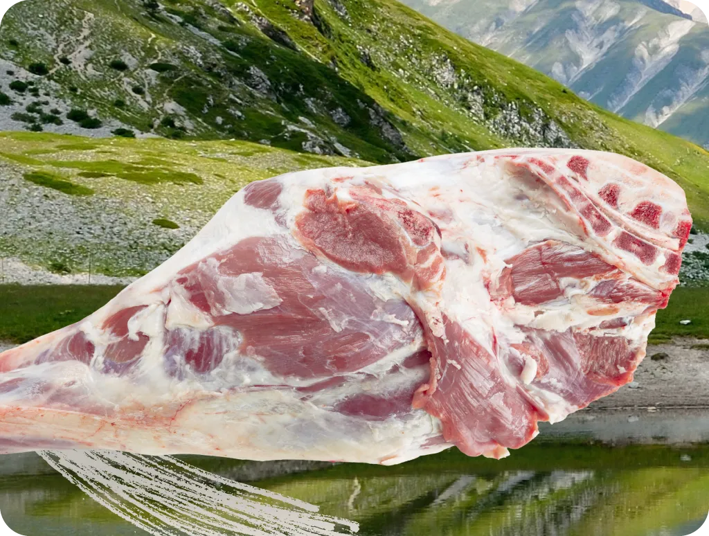 LAngolana sito web LA TRANSUMANZA-HOME_img 2